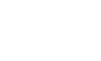 sobrellantas